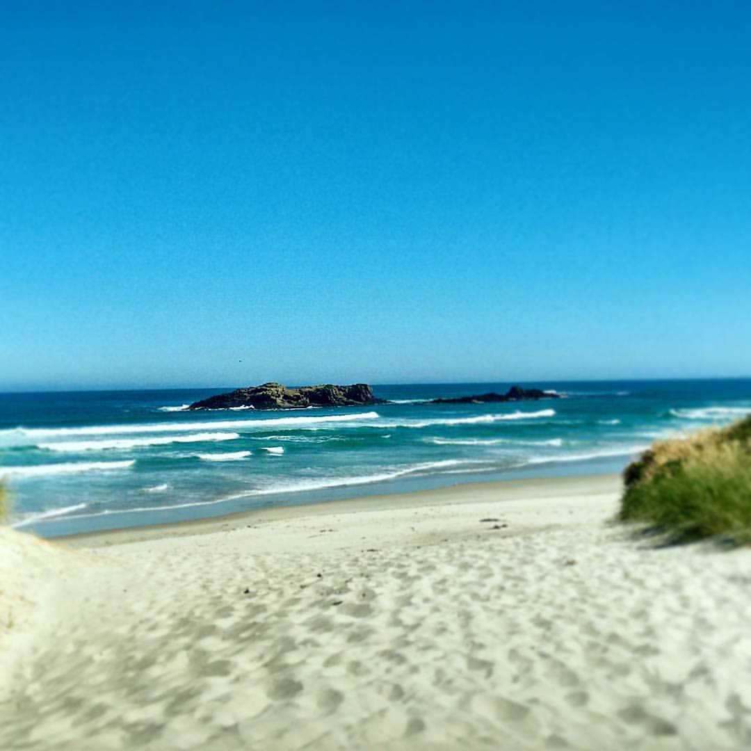 DNAttractions's tweet photo. The entrance to Smaills Beach in the Sunday sun: https://t.co/4RFojMjNT5 #dunedin #dunedinattractions #newzealand https://t.co/EehCUiLR3Z