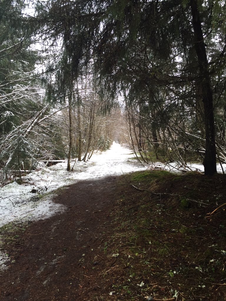 rabanaszak's tweet photo. My running trail this morning. #alaska #happyrun https://t.co/JKP2ywZzqt
