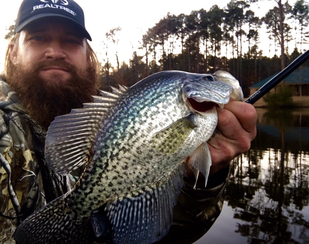 Biting good this pm. <a href="/BnMPoles/">B'n'M Fishing</a> <a href="/FinCommander/">Fin Commander</a>