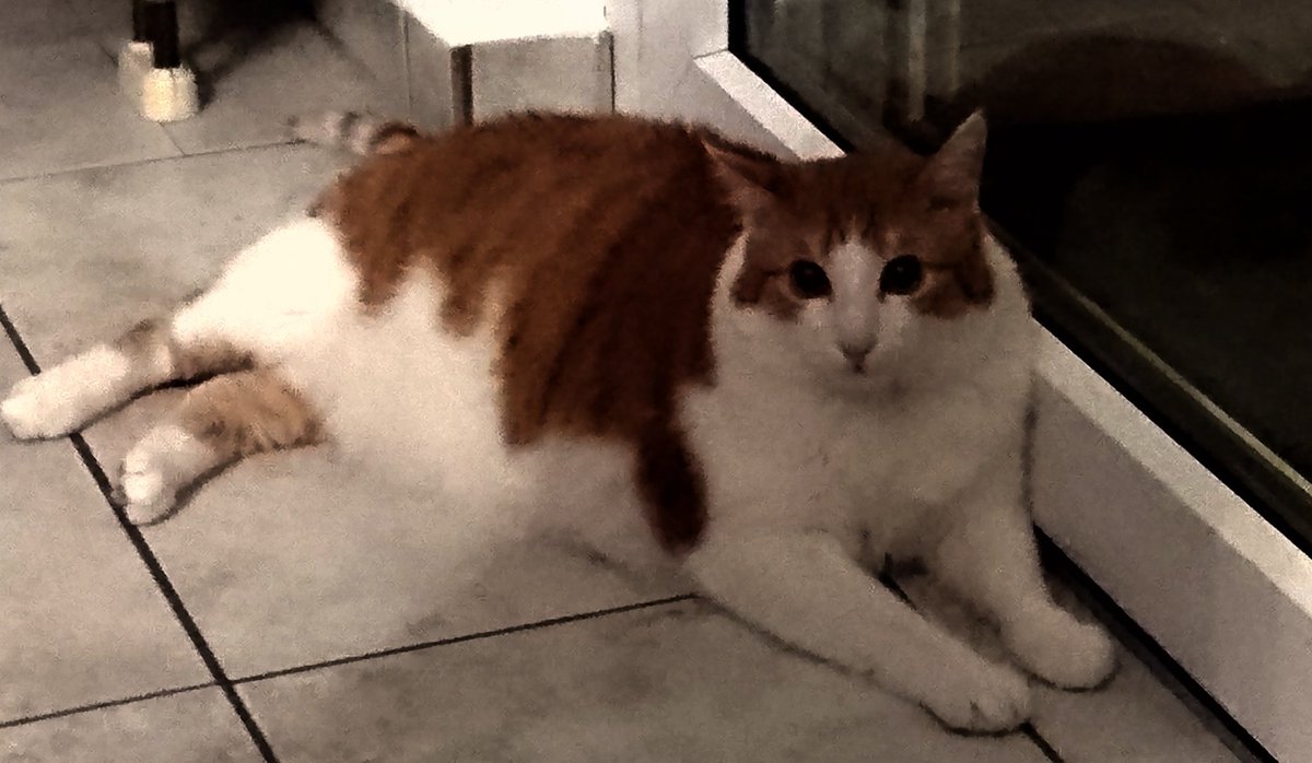 mokka98's tweet photo. Oskar, der schärfste Türsteher ever (ist aber ein Hosenschisser und hat alle reingelassen.) #OFparty https://t.co/UzmISf04hV