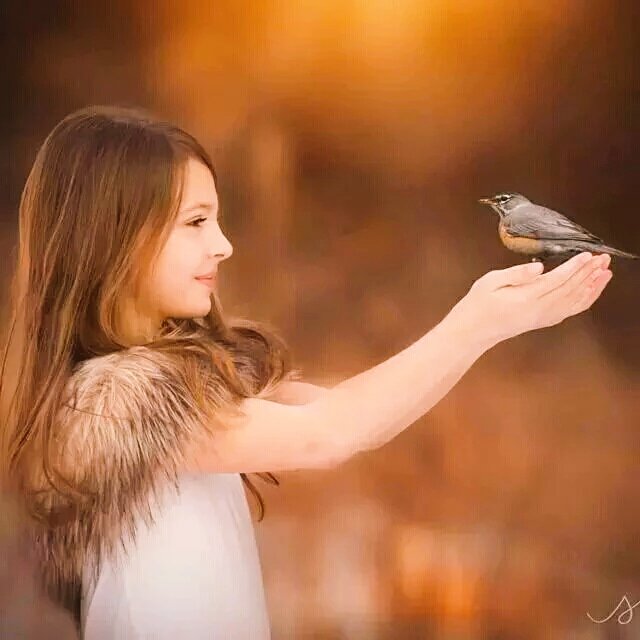 Love_90_ee's tweet photo. صــبـاح مــعــطــر بــعـطر المــســك و الــعــنــبــر
صباح التــــفـــــاؤل.....صــبــاح الــــورد
حـــبـــايــبـــي https://t.co/ILXAFwscQ4