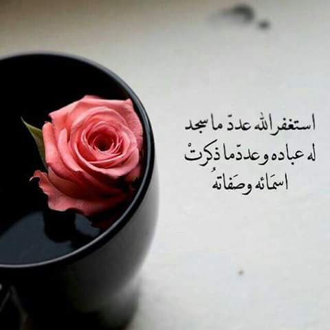 aborashedsror tweet picture