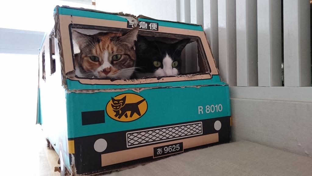 あかねこと ももかり 広島 ねこごこちさん 姫路 ねこびやかさん他 良心的保護猫カフェ支持 Twitterren 131kira 流石あずきプロw 猫カフェ史上最高のスタッフ あずき あずにゃん あっちゃん 阪急電車 芦屋川 ねこの手 芦屋ねこの手 愛ラブあずき 三毛猫 あかねこと ももかり 広島 ねこごこちさん 姫路 ねこびやかさん他 良心的保護猫カフェ支持 Twitterren 131kira 流石あずきプロw 猫カフェ史上最高のスタッフ あずき あずにゃん あっちゃん 阪急電車 芦屋川 ねこの手 芦屋ねこの手 愛ラブあずき 三毛猫