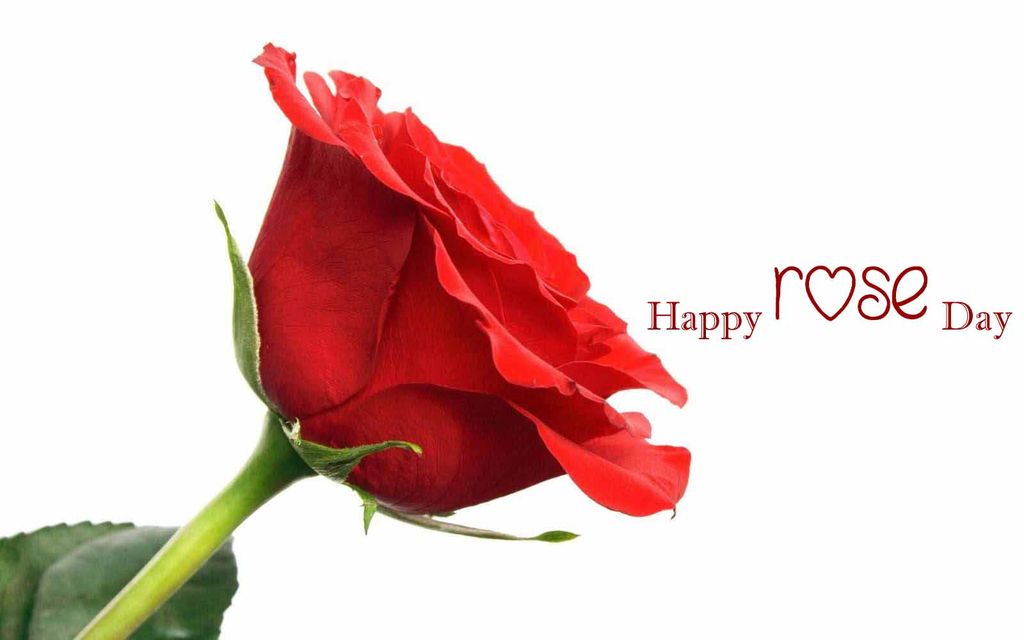 Sk Mijanur Rahaman On Twitter Good Morning Have A Super Sunday