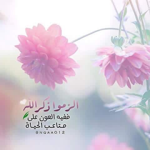 مجنونه..بس حنونه (@mlsiedu) on Twitter photo 