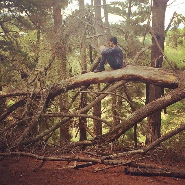 Absolutely loving the calmness and serenity of this shot taken in the bush lands around Ballarat by @vegan_lexi