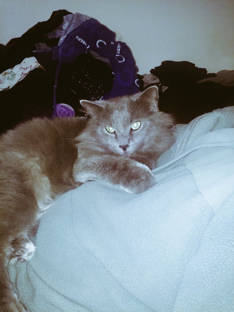 Alanabeard7's tweet photo. Goodnight everyone and be you https://t.co/39MLjGBISZ