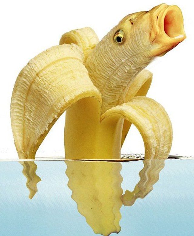 Pretty fishy that banana - for sure not a dole fruit! More like Long John Silvers :)