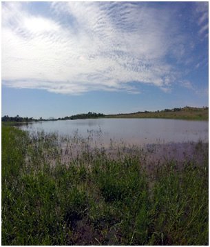 SpringbokLodge tweet picture