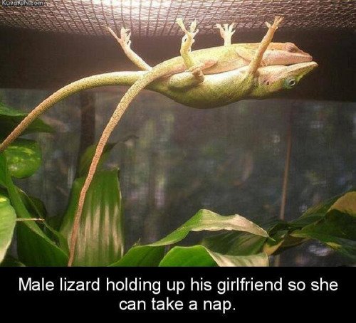 CauseWereGuys's tweet photo. This is what true love looks like https://t.co/IU9CHL1Whx
