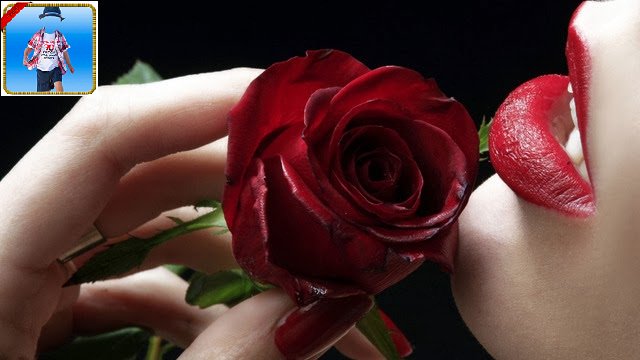 formationapps's tweet photo. Good Morning Friends :) Happy Rose Day...... For this occasion we have great android application #FormationApps https://t.co/BhMA7aPQ17