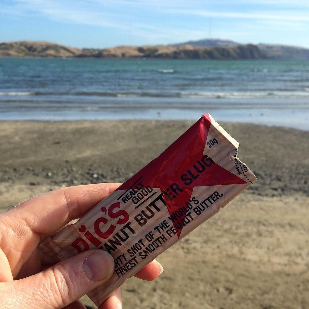 gingagma's tweet photo. #iatehere... Get in @picspeanutbutter #peanutbutterslug #happiness #beachlife #fmsphotoada… https://t.co/NLLwEbqZMi https://t.co/KGtM5XA9BE
