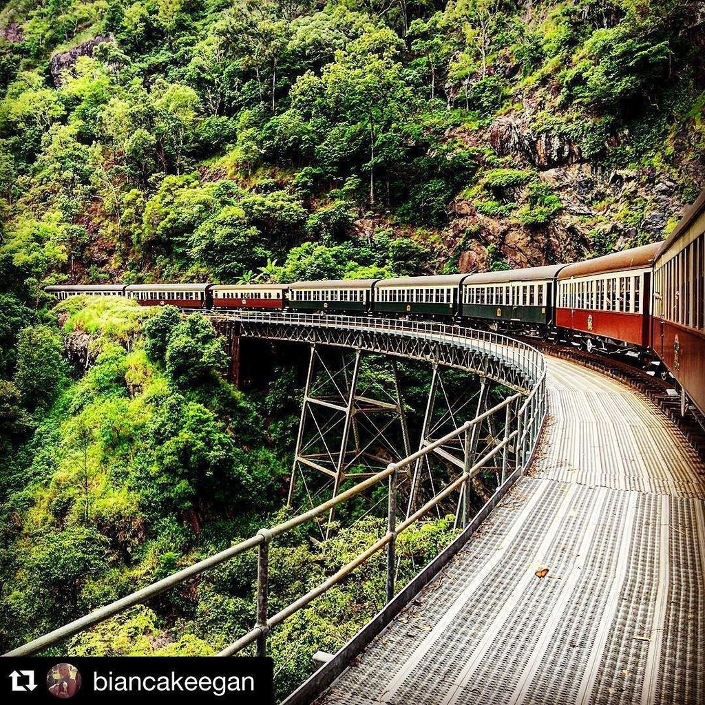 TheCairnsPost's tweet photo. #Repost @biancakeegan: Looking back at the carriages of the #kurandascenicrailway emerging from the #FNQ #rainfores… https://t.co/5jqY5DCpWm