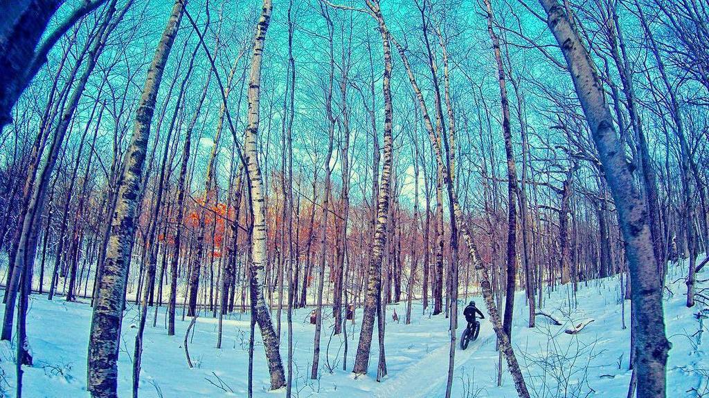 TuttoMTB's tweet photo. trelevenphoto / #fatbike #caad2 #cannondale #ridecannondale #cannondalebikes #woolytrails #wisconsin #ridewisconsin… https://t.co/gD9zc0lswL