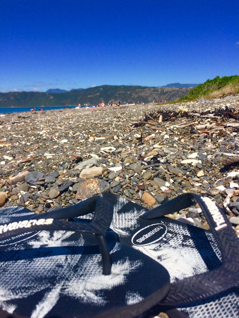 PinarelloSteve's tweet photo. Beach vs MTB trails. Beach took a comfortable win today #gorgeousday #whywellington https://t.co/MZKabP8XhL