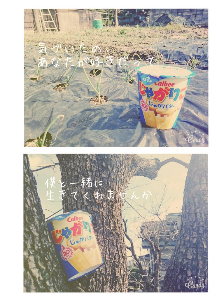 58greenapple's tweet photo. ありふれた日常も少しだけ目線を変えてみれば特別になる。大事なのはどこに行くかではなく誰と道を歩むかだ。

大切な人に思いを伝えませんか？ https://t.co/I3aLtE00TE