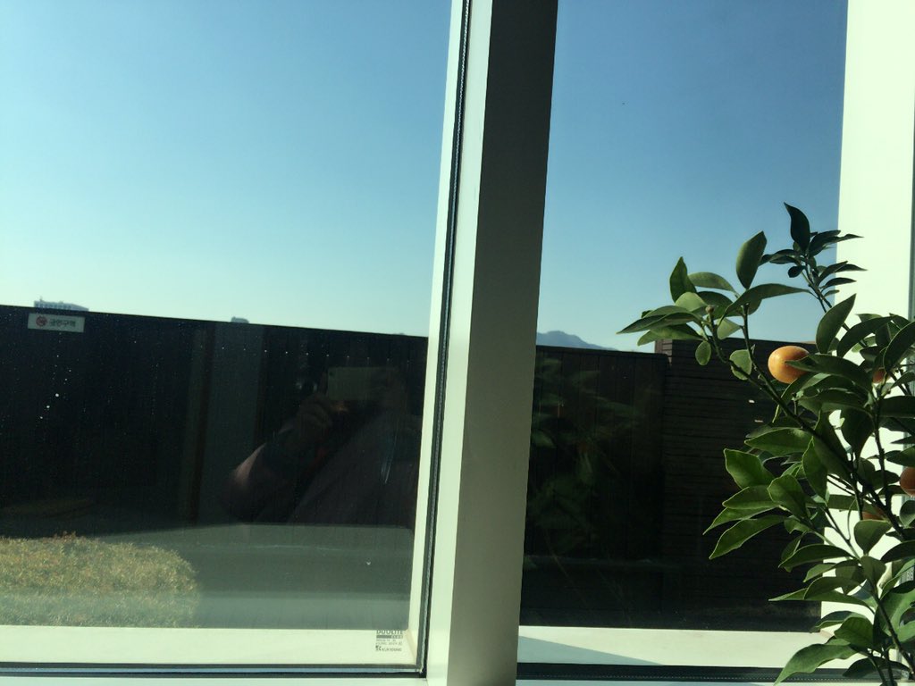 sy_moment's tweet photo. Perfect welcome back at here.
#perfect #inhistory #colobuo #at here #andthen #iwillgothere #hioputy #welcomeback https://t.co/8BpcYejA1d