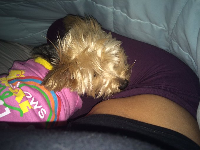 I'm not into snuggling. But, she's cold (and smells like popcorn) .. I'm okay with that. This is nice<a href="/tag/overtexting"class="tags"><span>#overtexting</span></a>