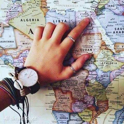 INVESTMENT IN EGYPT tweet media