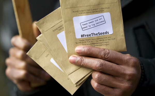 EC_magazine's tweet image. Discover our seed saving directory #FreetheSeeds ow.ly/XTSqZ