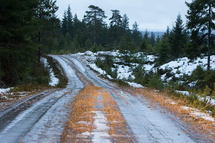 WRC: Rallye Sweden [11-14 Febrero] CamRIiGW4AAQJTA