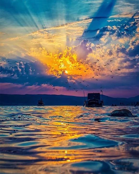 AkramRajput's tweet photo. @loving_lana @ju7423 @HappyMy_Love @Kelly40JONES https://t.co/PcNVfapQuh