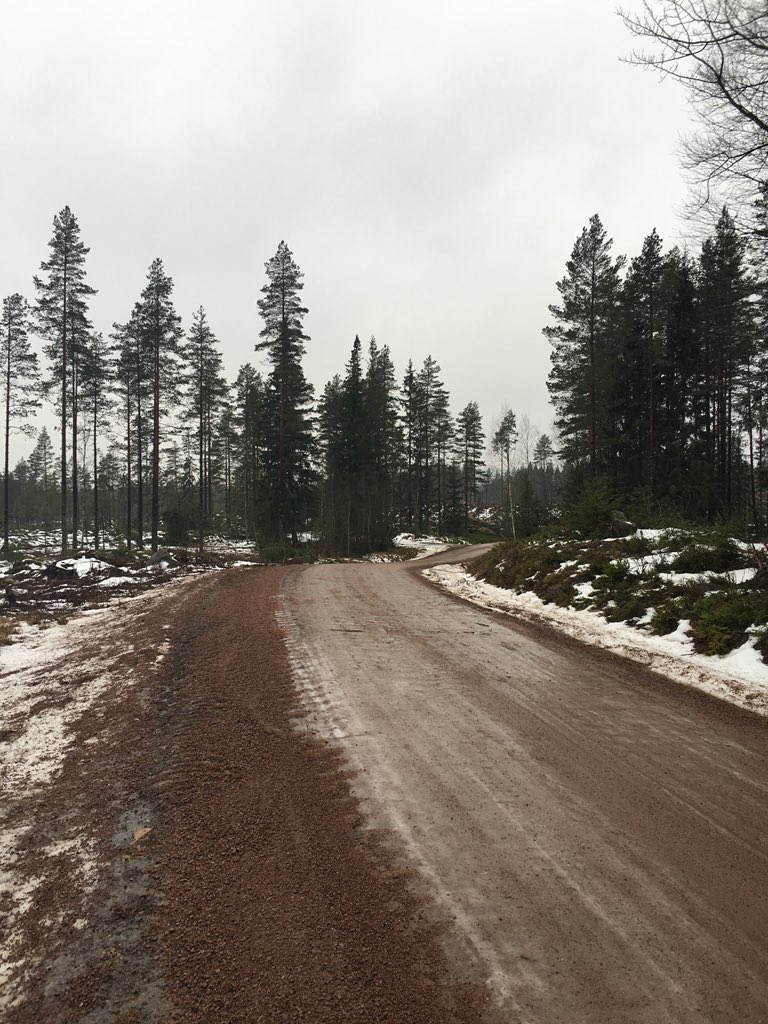 WRC: Rallye Sweden [11-14 Febrero] CamgF3lUsAAcmk6
