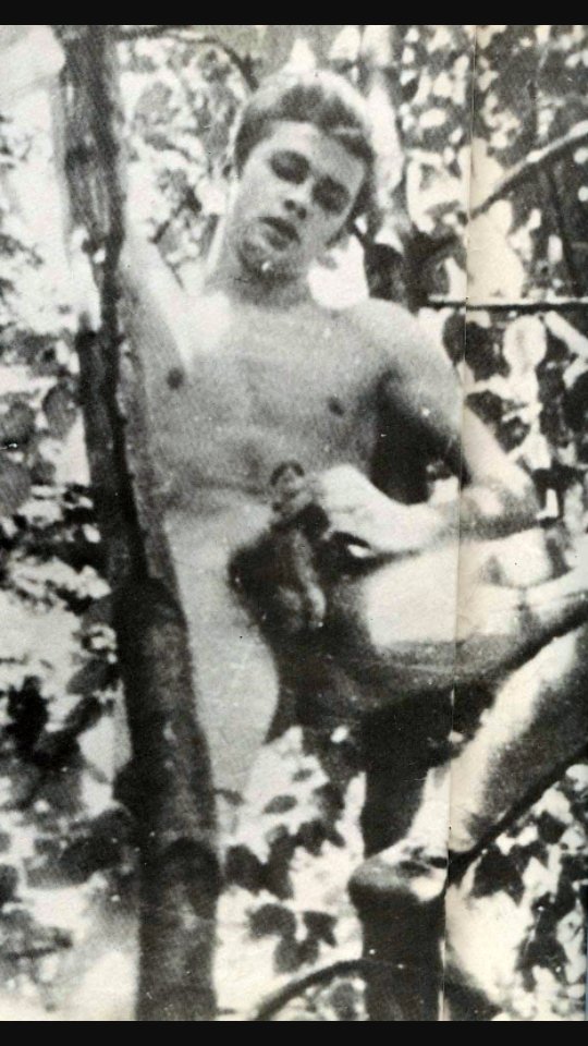 Miss Paraliss on Twitter: "Leyendo a @BalmesSanti he aprendido que:James  Dean se hizo una paja tántrica desnudo en un árbol. Mira tú qué mono!  https://t.co/p3sDfhtfzW" / Twitter