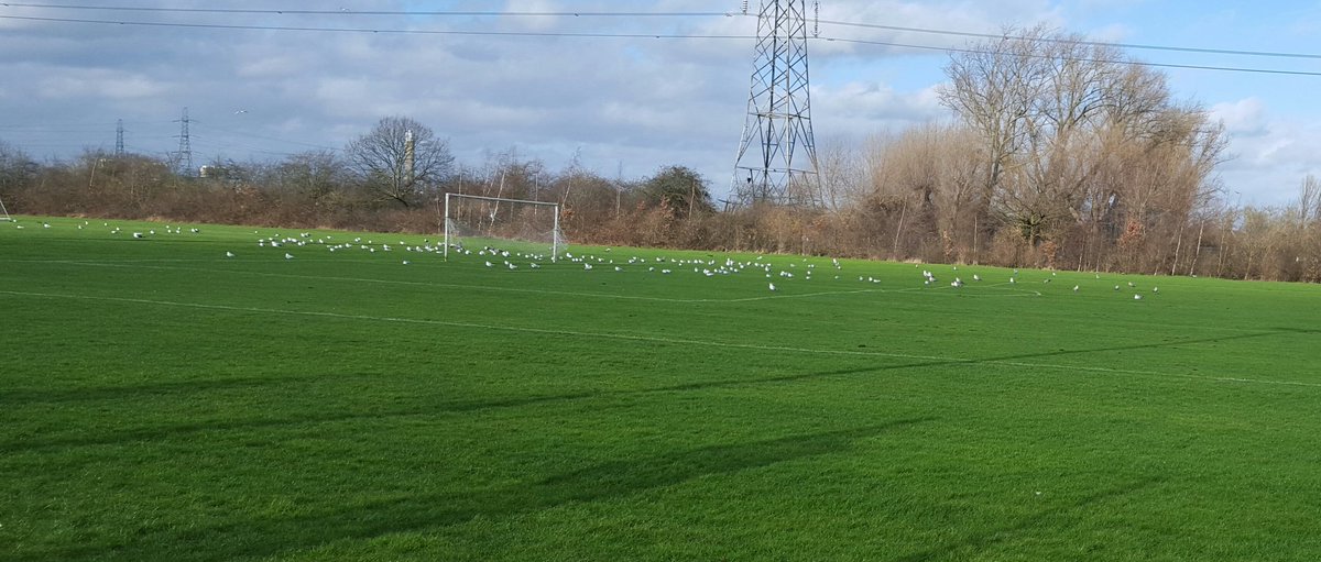 Waltham Forest M1's tweet media