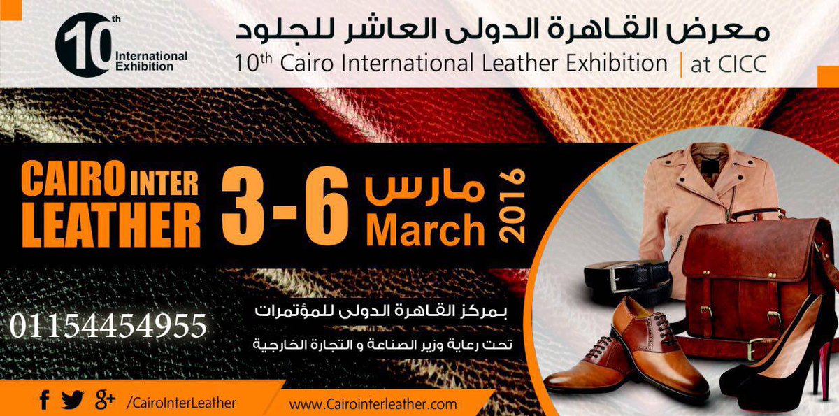 INVESTMENT IN EGYPT tweet media