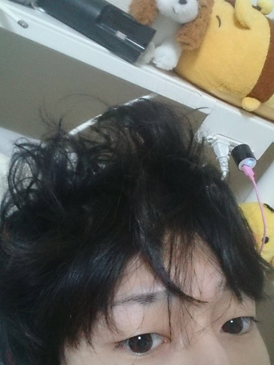 今日１日中寝ていた気がする
寝癖がすごい