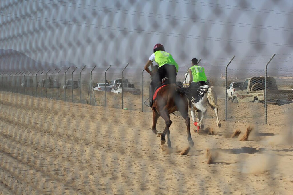 bny_rasheed's tweet photo. تغطيةبالصورةلسباق الفروسيةالاول للعام الحالي ١٤٣٧هـ بـ #ميدان_الشفيه_بالصلصلة
#الصلصلة #عبس
https://t.co/GQEFyDefYD https://t.co/UPlnnRQ2ag