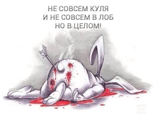 Заседания Кабмина будут транслироваться в прямом эфире, - Яценюк - Цензор.НЕТ 5619