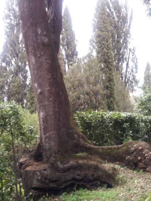 Nonnamoderna's tweet photo. #ideecreative #urbanexperience ascoltandp listz col leccio che resiste https://t.co/wXK2aRF6Pl