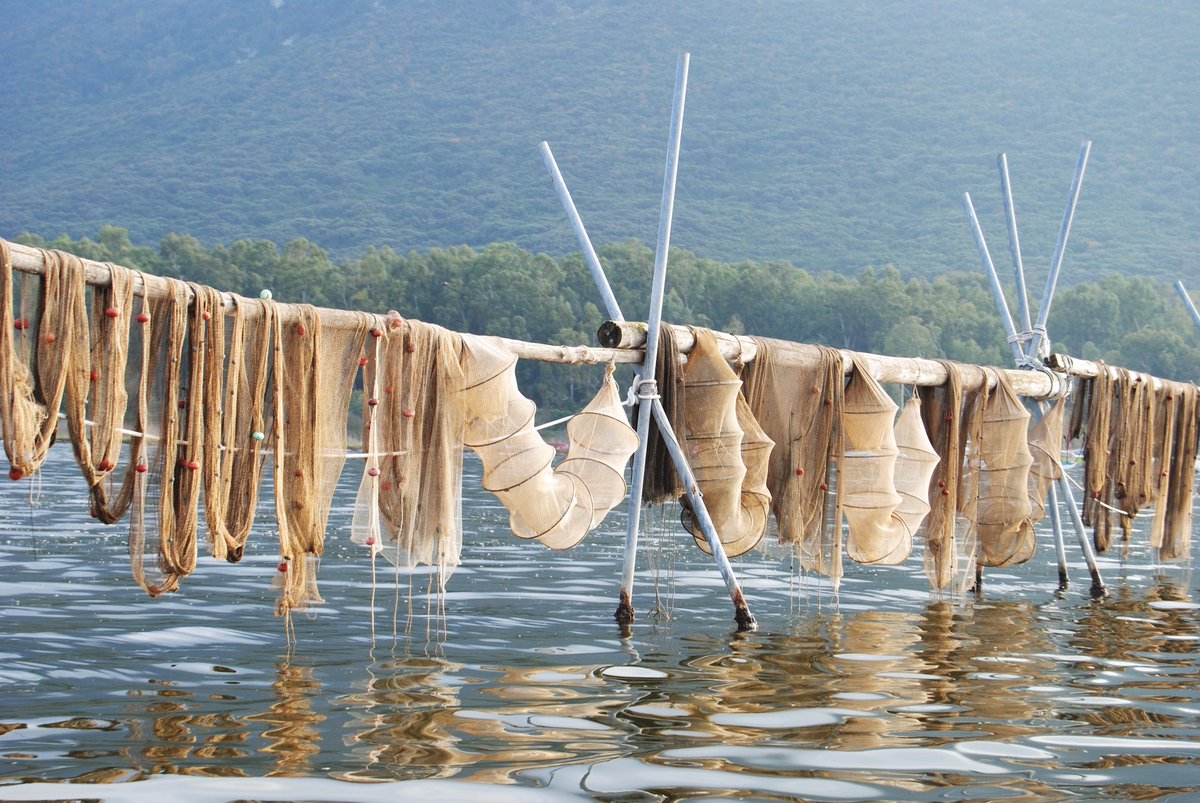 GiosaGiovanni's tweet photo. Le reti dei pescatori sul #LagoDiPaola #ProprietàScalfati una tradizione che ha continuità dal 1700. https://t.co/VdM9bWeuoR