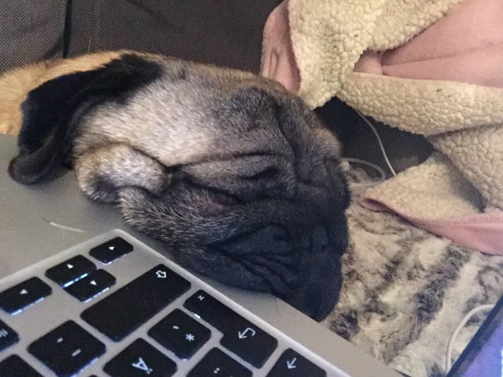 Rebecca Sörensen tweet media