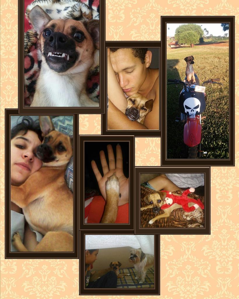 Bina2613's tweet photo. Contando as horas pra te ver meu Amor.
O pai e mae tao mortos de saudade de vc.
#Bisteka #Amorparatodavida #๐ซโ๐ถ=๐ https://t.co/PfuuTvND8u