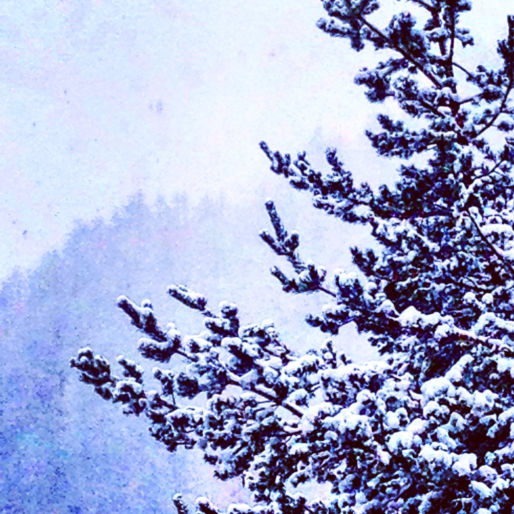 ProLocoPrali's tweet photo. Continua ad arrivare la #neve a #Prali. #buonadomenica. @ProLocoPrali @Nuova13Laghi @pralifreeride https://t.co/jUnljLTIUU