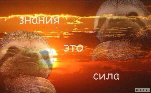 Когда мама попросила перевести что-то
