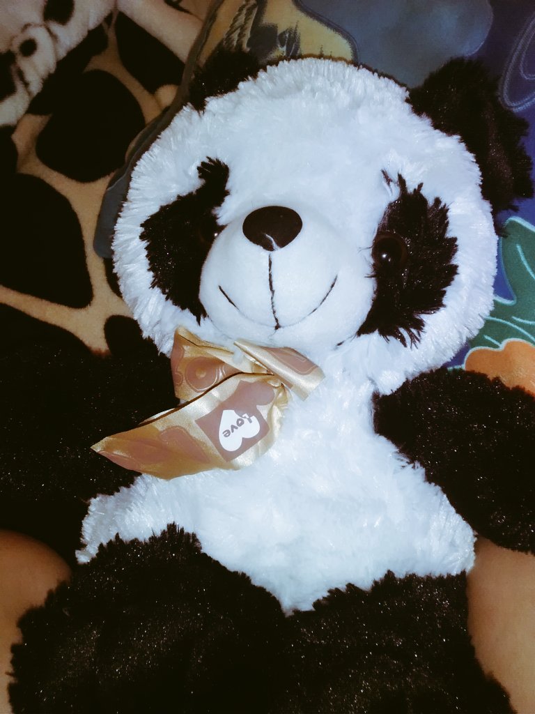 llomoctanta's tweet photo. Aveces ay k sufir para ser feliz ,te amo tanto mi amor @2hsmook Eres mi vida gracias x engreirme tanto @llomoctanta https://t.co/ib8KvtOKxR