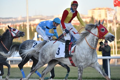 Derbişah , İzmir kumunda 6 da 6 yaptı