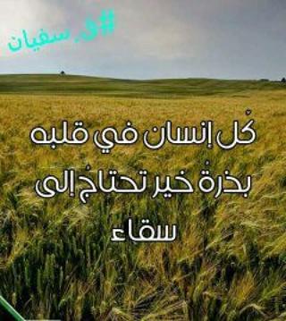 gaid soufian (@gaid_soufian) on Twitter photo 