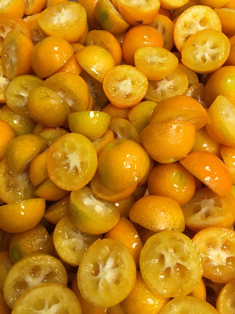 JONATHANBLOT's tweet photo. Macération de Kumquats pour une nouvelle créa rhum kumquats et raisin...#acide #jonathanblot #kumquat #rhum https://t.co/N4yr2KEeGI
