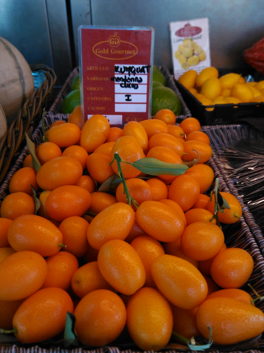 CampoTropical's tweet photo. Las naranjas enanas existen, se llaman #kumquat y las de @CampoTropical puedes encontrarlas en @GoldGourmet https://t.co/5nIpCX6jAS