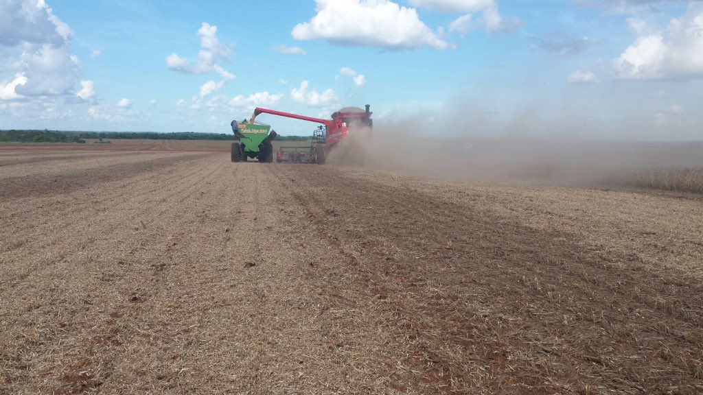 StaLuziaEsteio's tweet photo. While people of coast is celebrating carnival, that is our Sunday party
#buildingBRAZIL
#Soybean
#hardWORK
#harvest https://t.co/eqQww8Wr7T