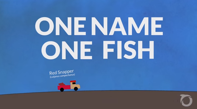 oceana's tweet photo. Why is it so important that we have #OneNameOneFish? https://t.co/2ZgvPm4REj https://t.co/T6Mku7oZnI