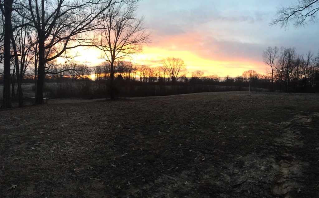 wings_outd's tweet image. 