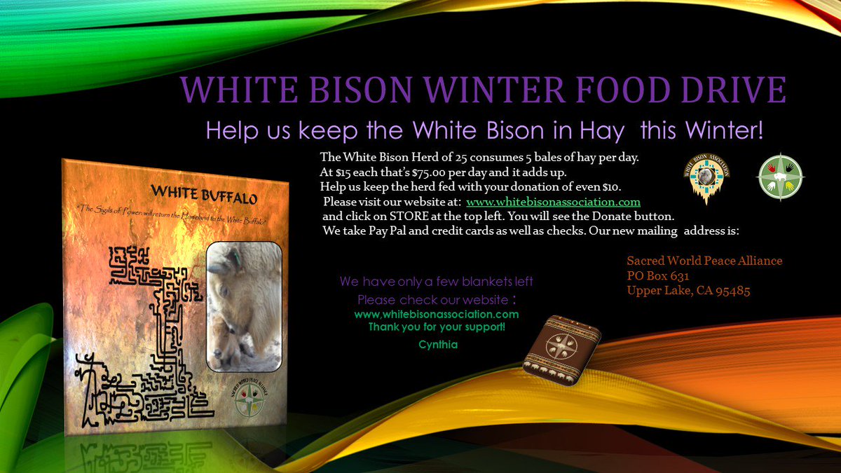 NatureRaven's tweet photo. Help keep the white bison in hay this winter! #tatanka #buffalo #sacred #animals #bison
https://t.co/jpPnZk924B https://t.co/dAaIzwgDEa