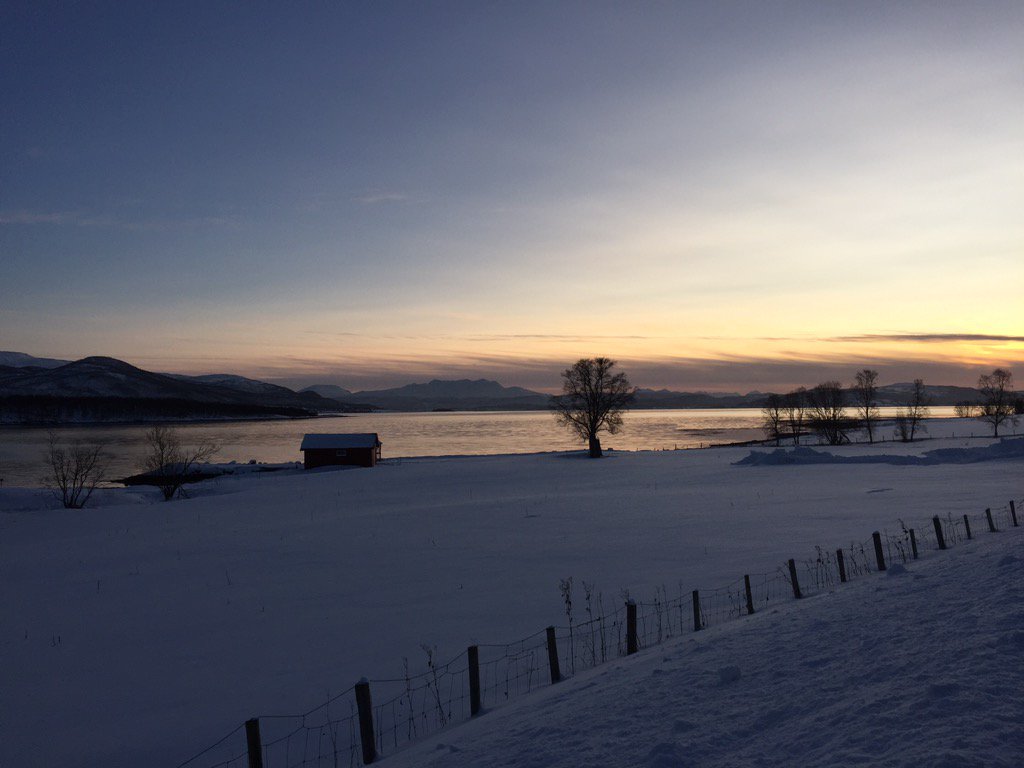 HaugaLine tweet picture