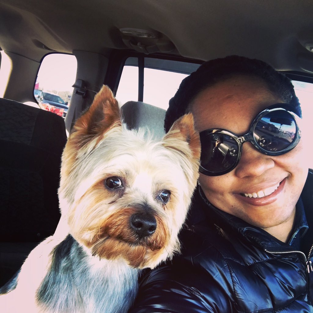 Lokeee's tweet photo. 😂 Still cracking up, my Puppylove took over my #Selfie #SelfieSunday #TeddyMan🐶 https://t.co/cAejCHi40z